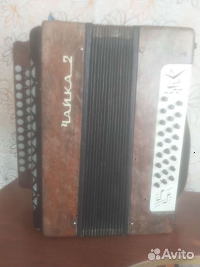 Гармонь чайка 2