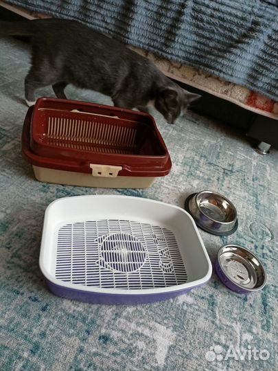 Лоток для кошек
