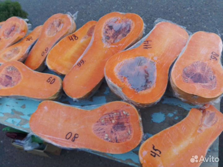 Тыква оптом