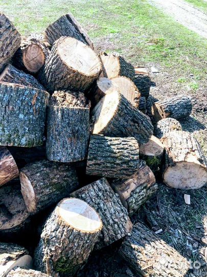 Дрова дубовые