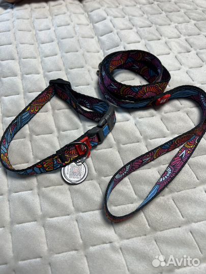 Ошейник и поводок