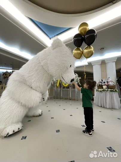 Поздравление от говорящего Белого Мишки или Панды