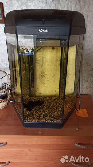 Аквариум
