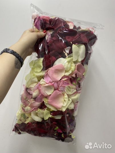 Лепестки роз