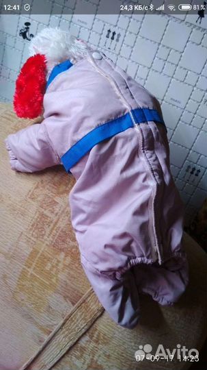 Комбинезон для щенка французского бульдога или моп