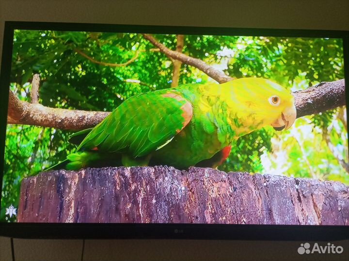 Плазменный тв 50
