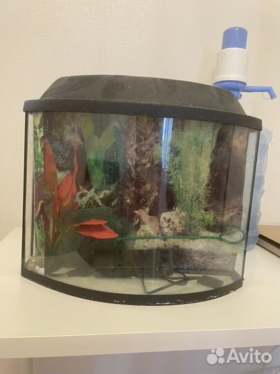 Аквариум