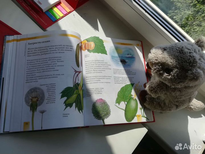 Моя первая энциклопедия новая росмэн