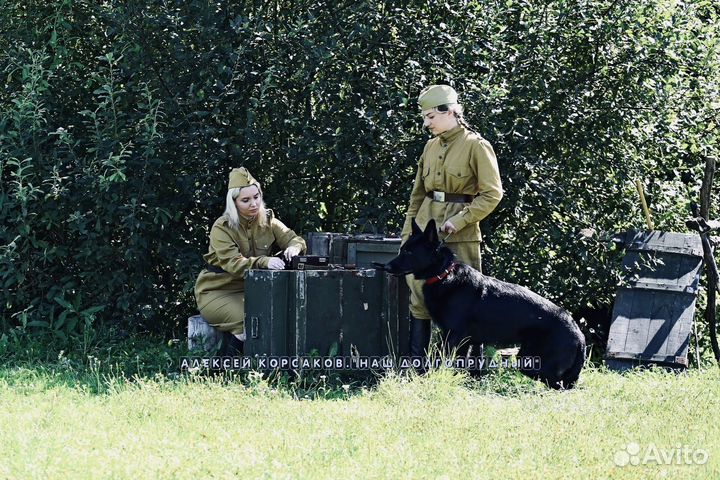 Вязка кобель