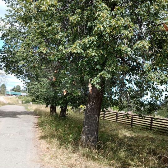 Участок 16,5 сот. (ИЖС)