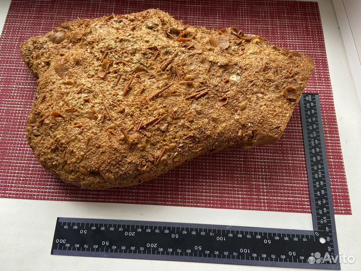 Окаменелое дно древнего моря