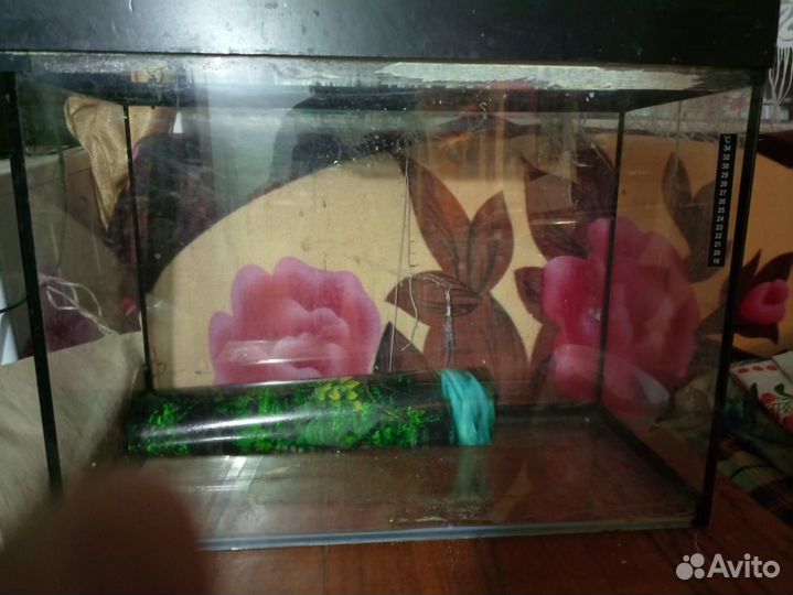 Аквариум