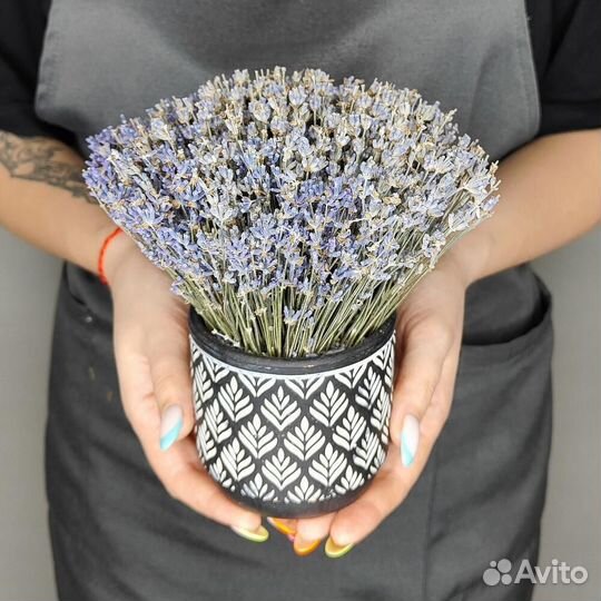 Композиции из Лаванды и других сухоцветов