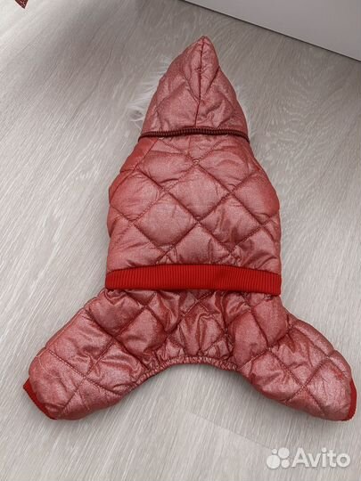 Одежда для собак мелких пород