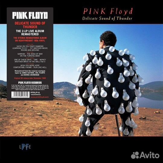 Pink Floyd - Delicate Sound Of Thunder: Live (rema