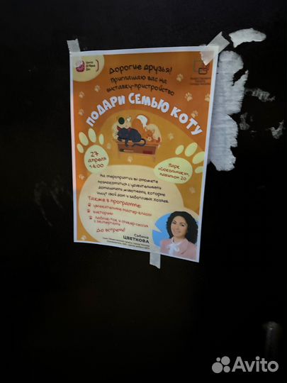 2 билета Спартак Локомотив электронные