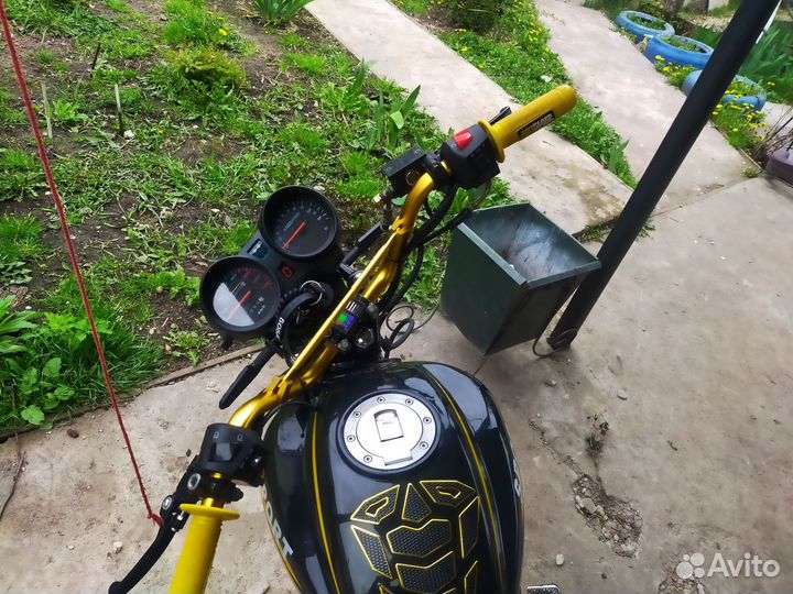 Альфа спорт