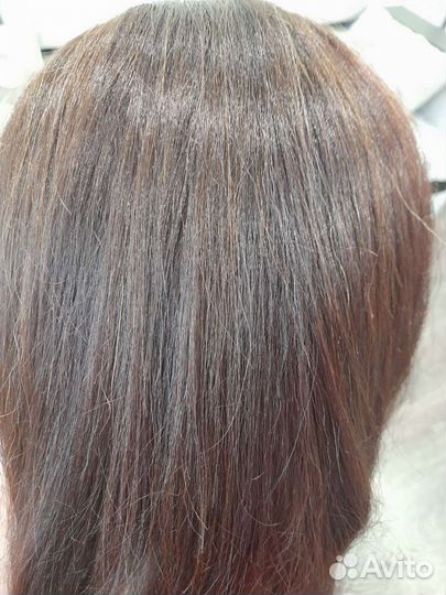 Учебная голова