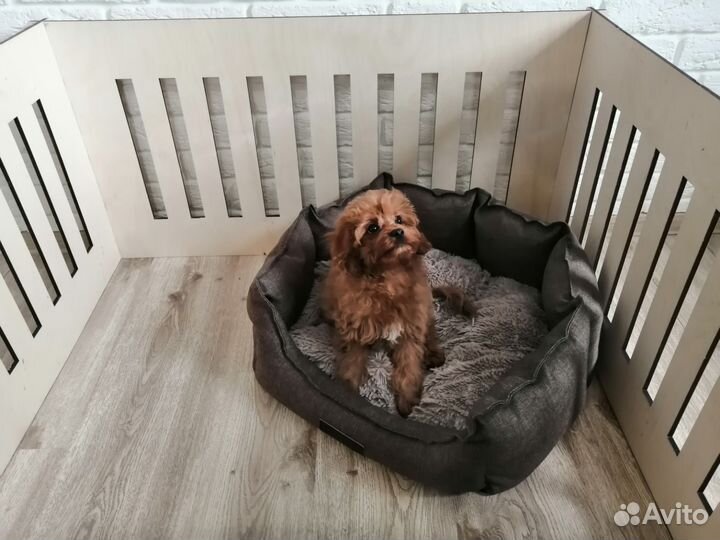 Вольер, манеж для щенков, собак 100х100