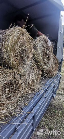 Сено в рулонах