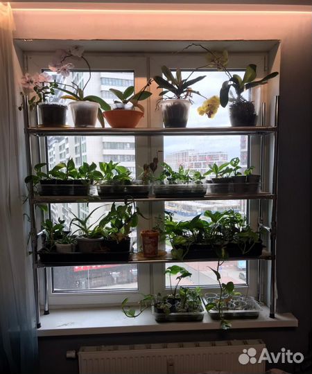 Стеллаж для цветов на подоконник