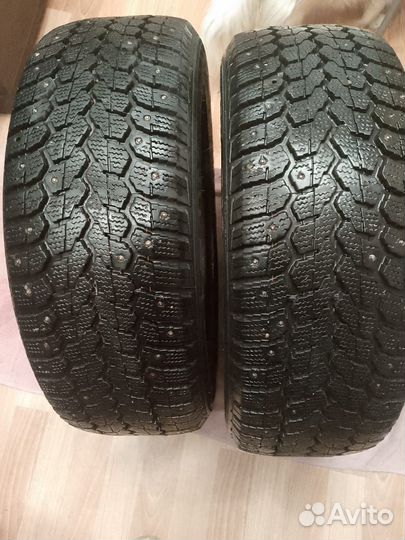 Amtel NordMaster 195/55 R15