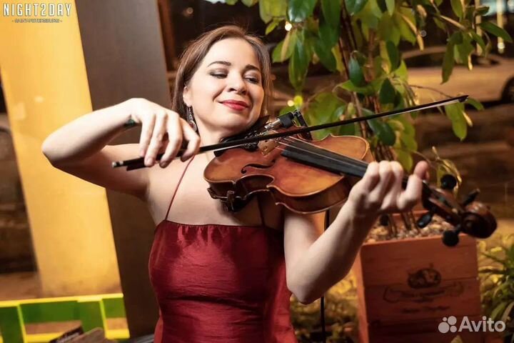 Скрипачка, музыкант на праздник, свадьбу