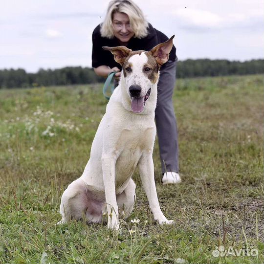 Бублик в дар