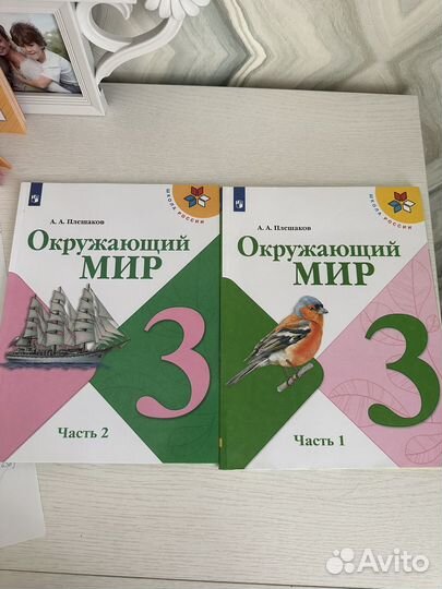 Учебник окружающий мир 3 класс плешаков