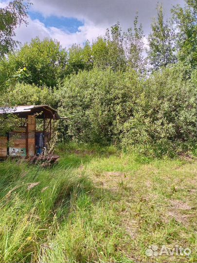 Продается пасека