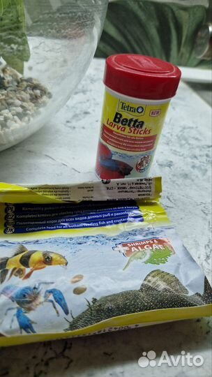 Аквариум круглый с наполнением и кормом