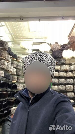 Шапки из каракуля кепки