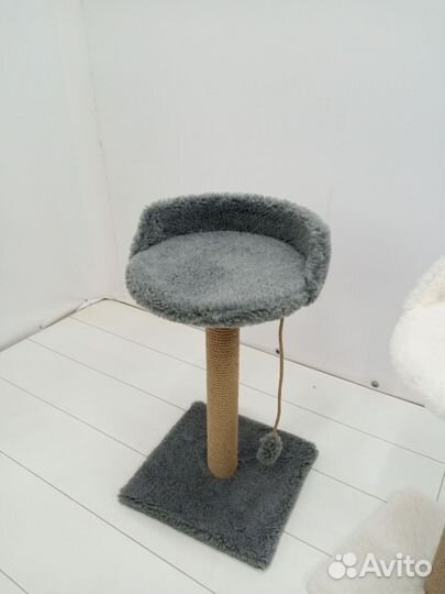 Когтеточка трон