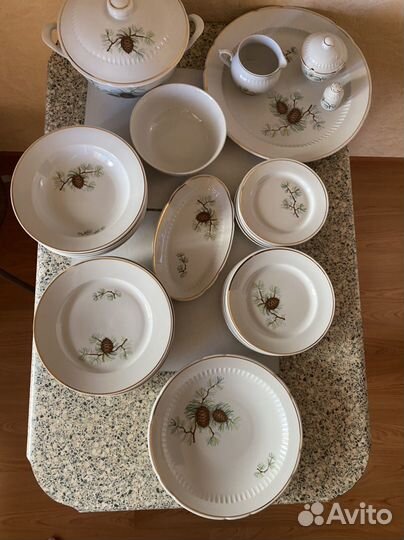 Сервиз столовый с шишками