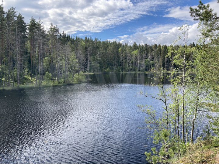 Участок 2,5 га (ИЖС)