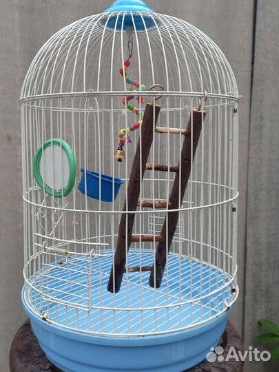 Клетка для попугая бу