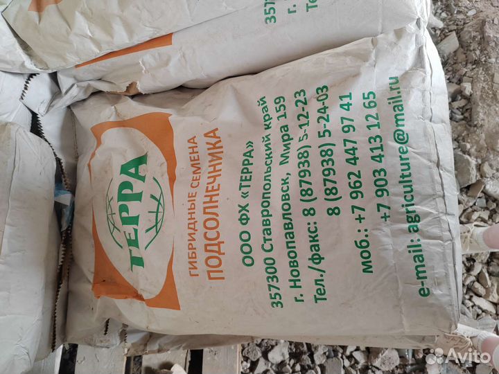 Семена подсолнечника гибрид