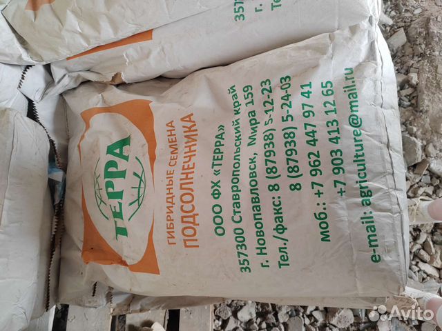 Семена подсолнечника гибрид