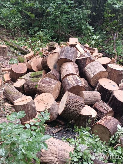 Дрова дубовые