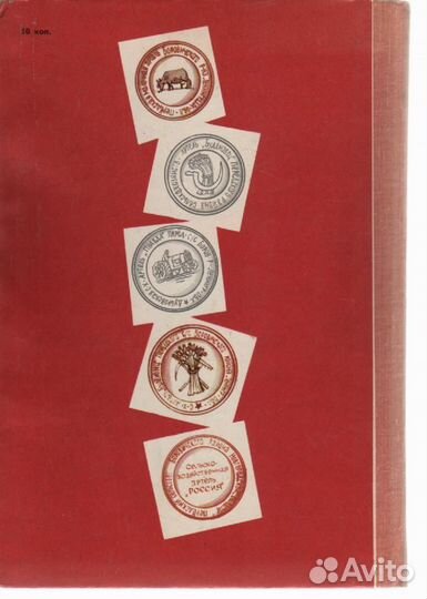 Как это будет. Книжка-картинка Шейкин Аскольд