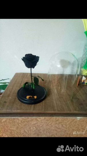 Подарок Роза в колбе