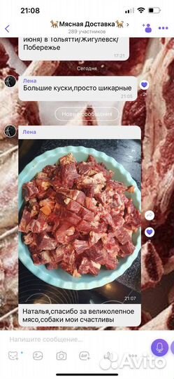 Телятина для собак