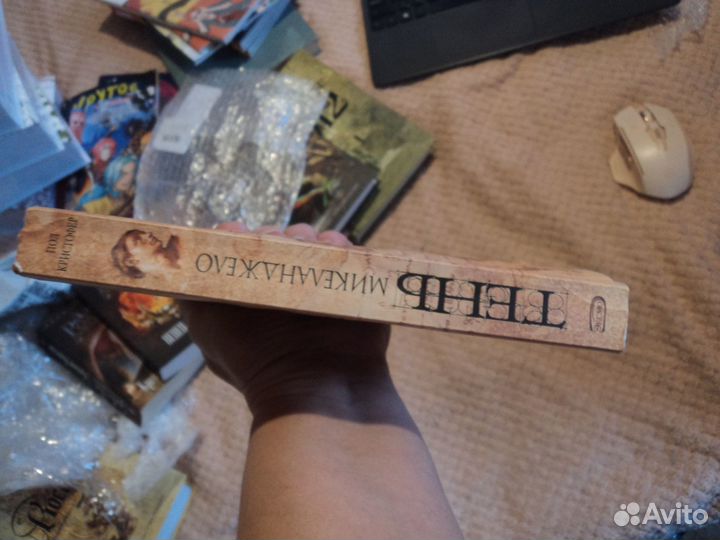 Тень Микеланджело Пол Кристофер