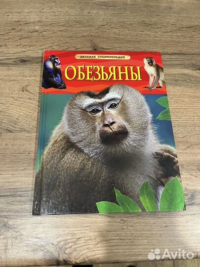 Детская энциклопедия