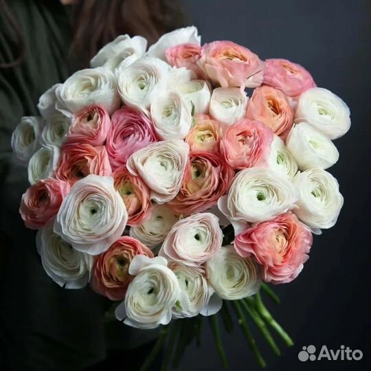 Букеты цветы ранункулюсы