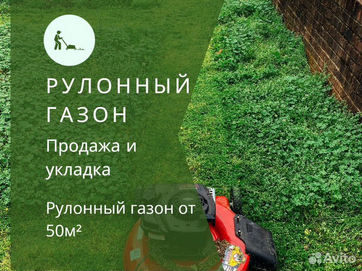 Продажа рулонного газона