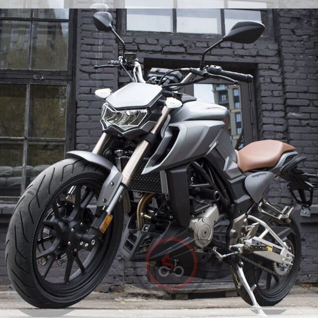 Regulmoto Alien Monster 300, 2024