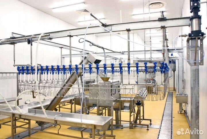 Забой птицы