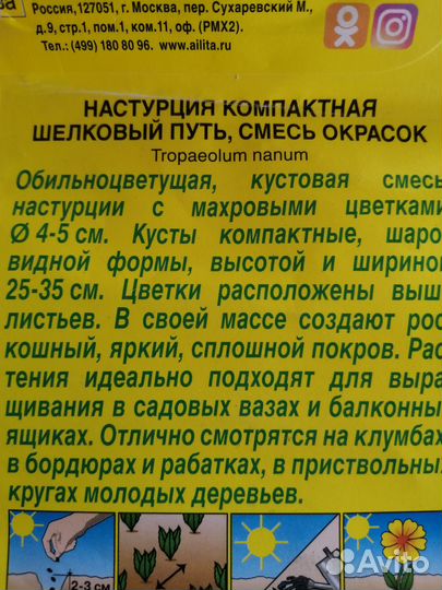 Рассада настурции