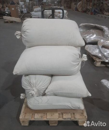 Семена / Ель обыкновенная